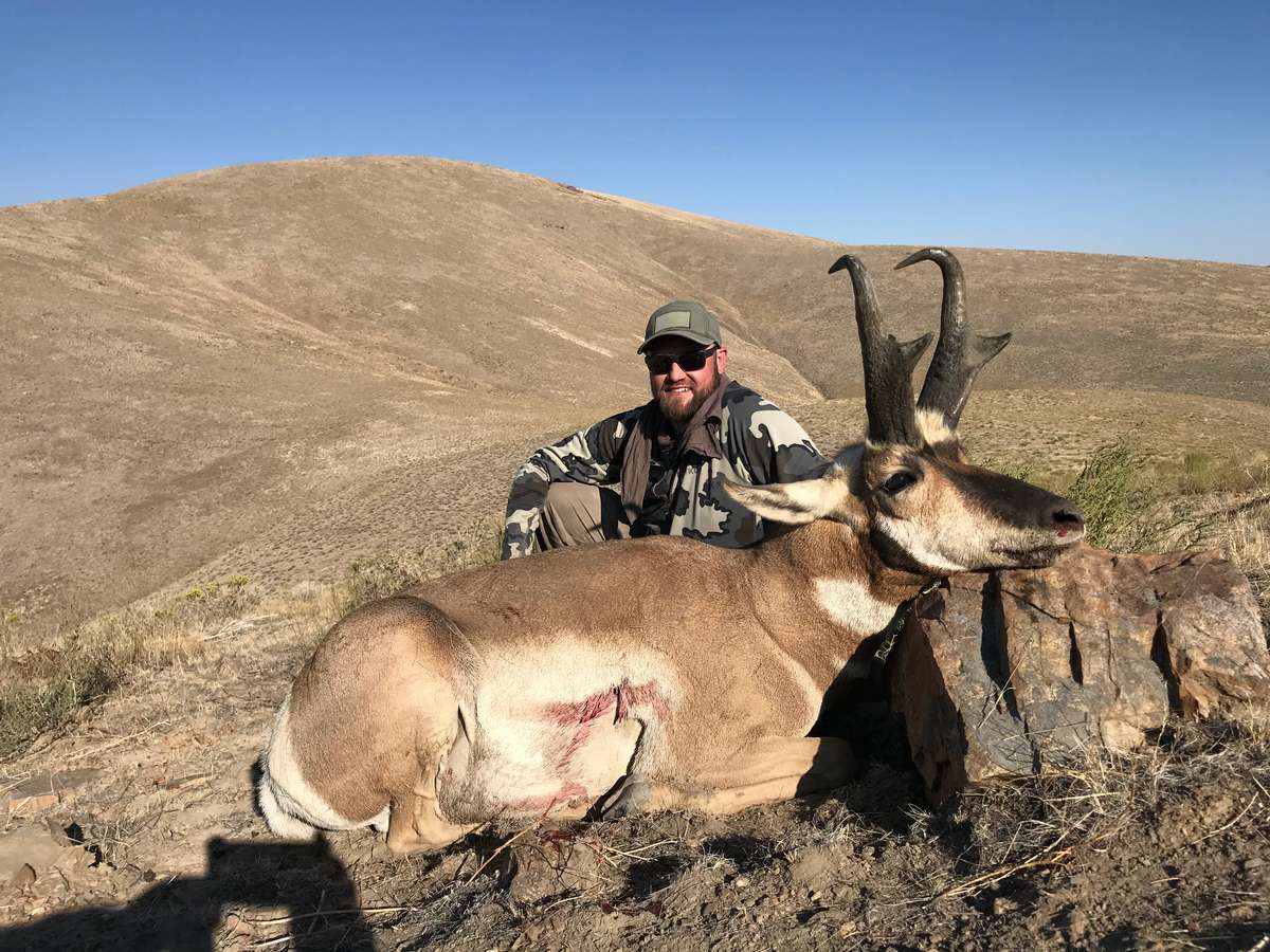 Antelope Northern Nevada Antelope Hunt